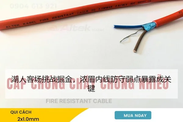 湖人客场挑战掘金，浓眉内线防守弱点暴露成关键